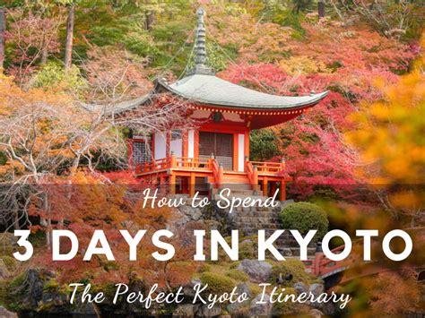 Indulging in the Culinary Delights of Magical Trip Kyoto